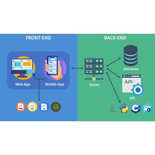 ডিগ্রি নাকি দক্ষতা? CSE ছাড়াই সফল টেক ক্যারিয়ার